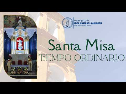 Santa Misa del XIII Domingo del Tiempo Ordinario (28 de junio de 2026 - 08:00 h).