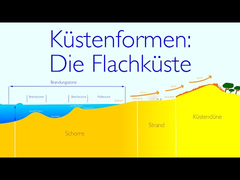 Küstenformen: Die Flachküste #küste #geographie