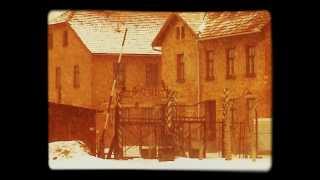 Reflection about Europe