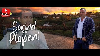 Download lagu Cea mai Frumoasa Muzica de Petrecere 2024 mp3