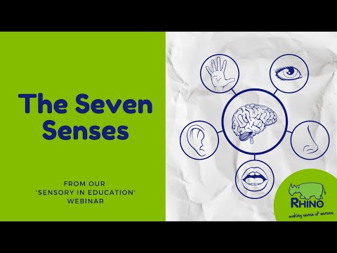 The Seven Senses