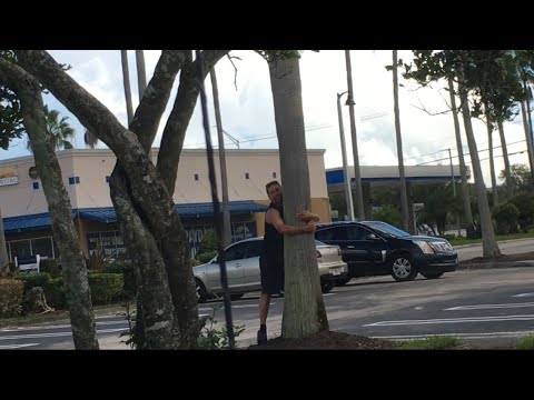 Catching Agama for my Reptile Freak SUBSCRIBERS