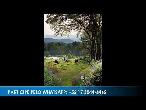 Caminho da Roça - Apresentação: Paulinho | 26/03/2026 - Parte 1
