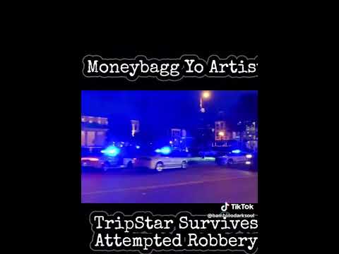 BTB WINNING SOLID TROLL MO3 SECTOR BG4L 🦍