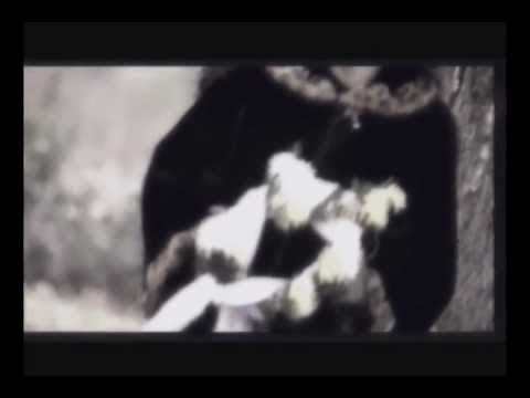 Dragana Mirkovic i Zorica Brunclik - Sele moja - (Official Video)