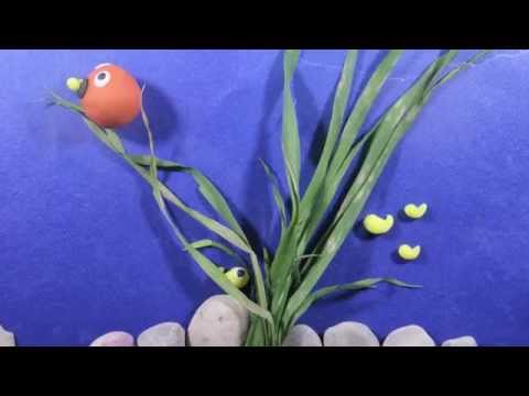 ハイコウイクティス (ストップモーション)