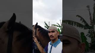 Download lagu kuda kawin mp3