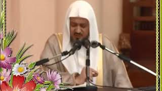 صورة 087 تعريف المنطوق