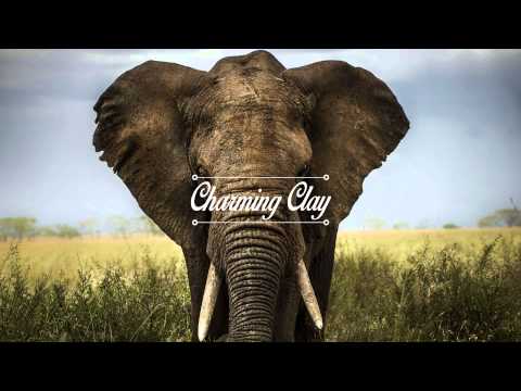 Plunk.ton - Was Wir Sind (Nico Pusch Remix) | Charming Clay