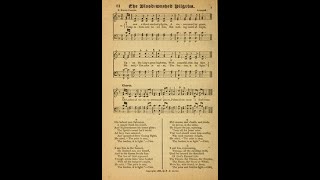 Blood Washed Pilgrim