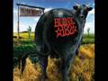 Apple Shampoo - Dude Ranch - blink 182