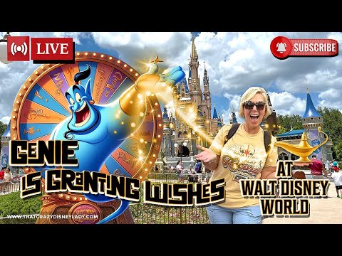 Live webcam of That Crazy Disney Lady