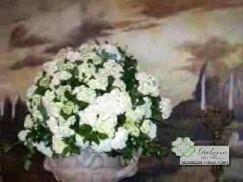 Programa Neusa Bighetti Exibido no dia 03/01/2010 - Galeria das Flores