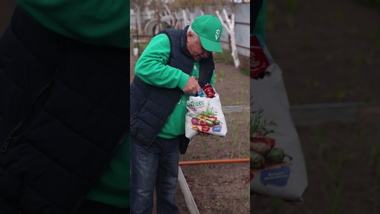 Всегда так подкармливаю чеснок весной! Вырастает крупным, сочным и здоровым