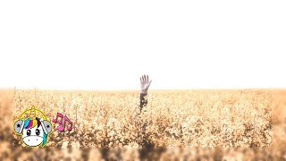 A R I Z O N A - Freaking Out