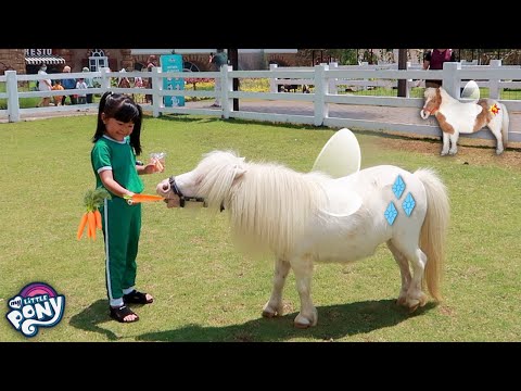 , title : 'Yuk Kasih Makan Kuda Poni Mirip My Litte Pony | Mengenal Binatang Lucu'