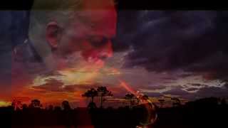 David Gilmour (sax) - Red Sky at Night   (HD1080)