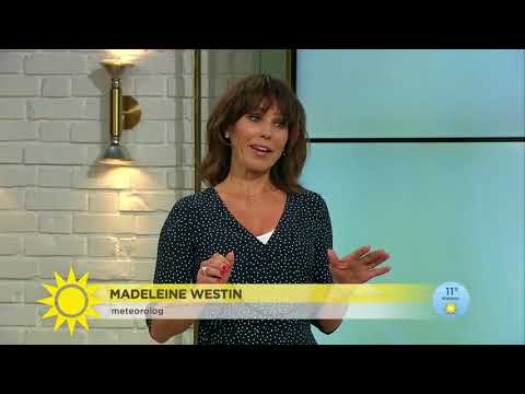 Rekordvärmen: Extremt mycket över det normala                   - Nyhetsmorgon (TV4)