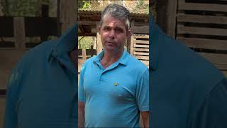 Fazendo assim eu tenho maior qualidade no café!