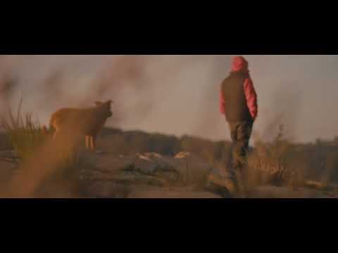 Nothing Really Matters - Piotr Żaczek (feat. Andrzej Danek & Kuba Badach)