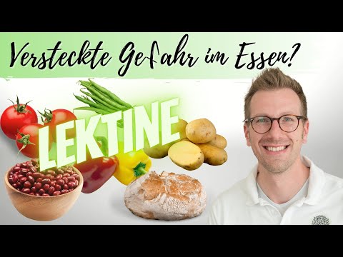 LEKTINE: Die versteckte Gefahr im Essen! 🍅🍞 Dr. Christian Gersch