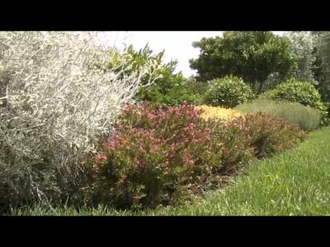 Carmelitane Ravenna - Il Giardino della Sposa   Lectio su Abramo e Sarah