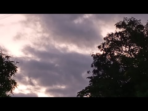 UN DOMINGO CONMIGO - DE LA CRUZ MALDONADO ALICIA - TURISMO 105