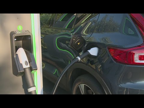 Government Incentives for EVs: Navigating the Green Drive | Vibepedia