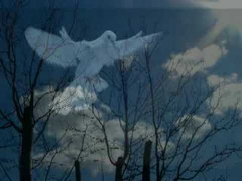 Pacem in terris - Marco Frisina