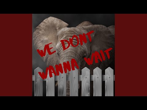 We Don't Wanna Wait