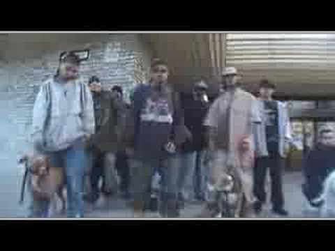 Gangis Khan aka Camoflauge - Pick It Up