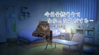 生大喜利会〜そして最初に戻る〜【猫ミーム】