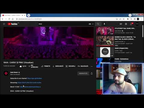 E F*CKING AWESOME OMU ASTA❗REACTIE❗RAVA - CARDU' ȘI PINU' (Visualizer)