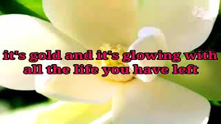 Magnolia THE HUSH SOUND (lyrics)