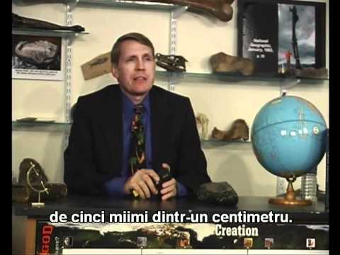 creationism_vs_evolutionism_16din20.flv