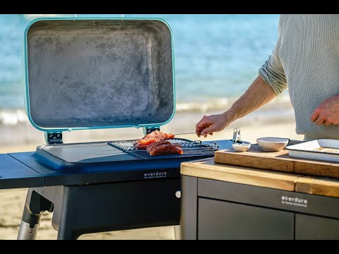 Everdure by Heston Blumenthal FORCE