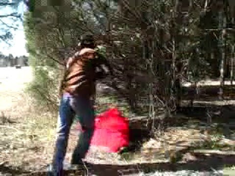 The Bigfoot Story    Part One