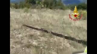 vigili-del-fuoco-e-cinofili-simulano-intervento-di-soccorso-in-montagna