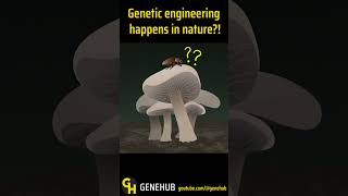 Genetic Engineering in Nature