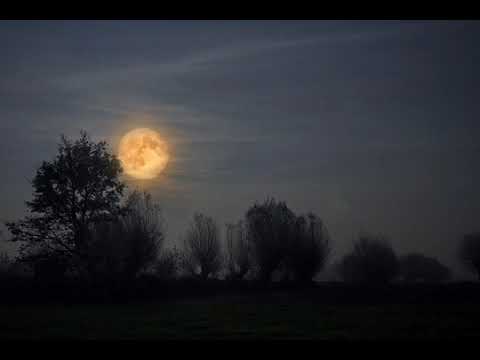 Herbst ist da -  Autumn comes