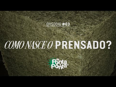 De Ponta a Ponta - Como Nasce o Prensado? - Episódio #3
