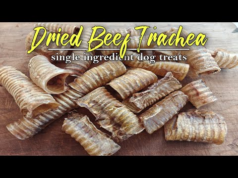 Dried Beef Trachea | Easy Treats for your Dogs