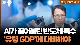 AI 특수에 미소 짓는 반도체,  유령 GPD를 기억하세요  | 김장열 유니스토리자산운용 본부장 [집중 오늘의 ?