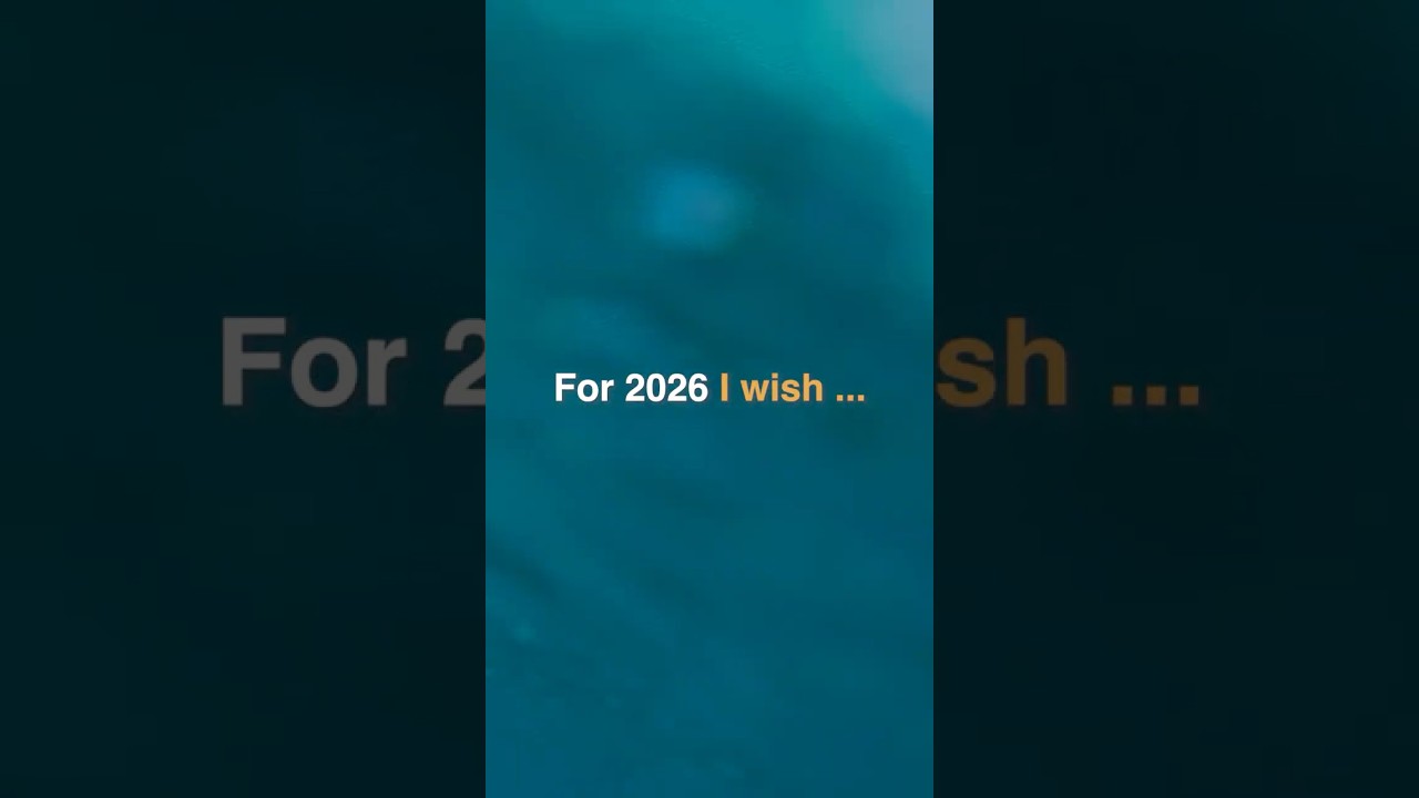 Looking Ahead: OceanCare's Wishes for 2026!
