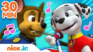 PAW Patrol 30 Minute Sing Along Song Compilation! 