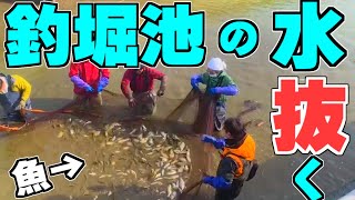 60年の老舗釣り堀の池の水ぜんぶ抜いてみた結果、やばすぎた！
