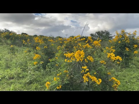 Zona rural de poções Bahia 