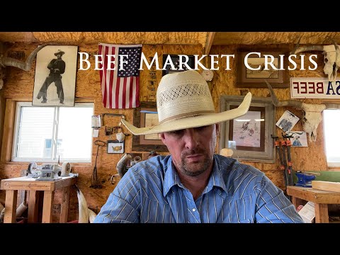 What is going on with beef prices? An explanation of...