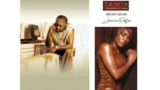 Tamia - Stranger In My House (So So Def Remix) (Instrumental)