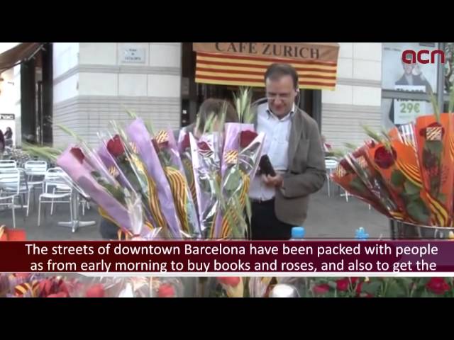 Vídeo relacionado con BOEL-TRONIC BANDERAS LED CRUZ DE SANT JORDI 12-24V- BANDERA LUMINOSA, DIADA CATALANA
